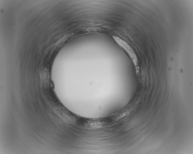 X0000078270228200611251401