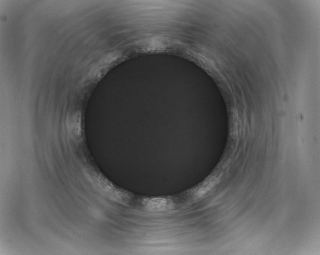 X0000078270230200611251401