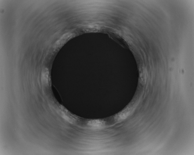 X0000078270231200611251401