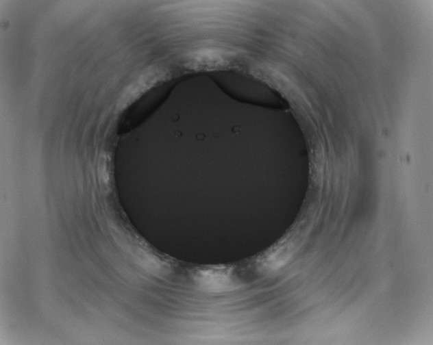 X0000078270232200611251401