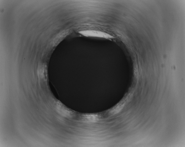 X0000078270233200611251401