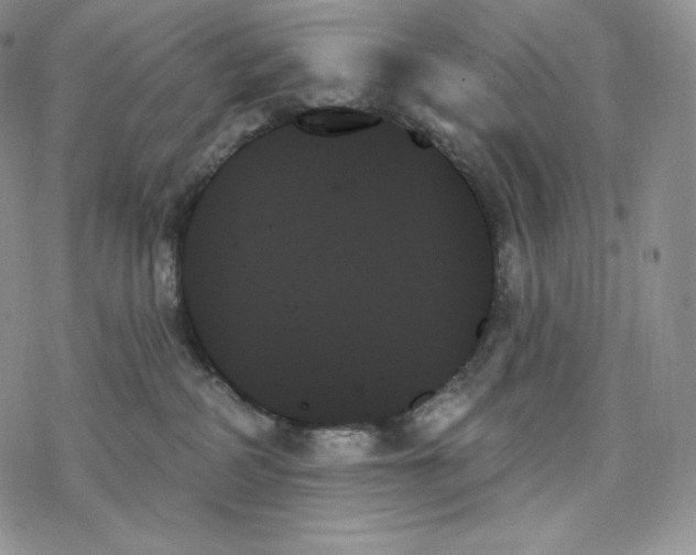 X0000078270234200611251401