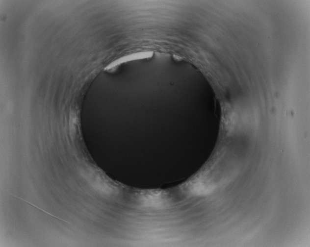 X0000078270235200611251401