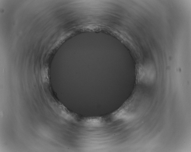 X0000078270236200611251401