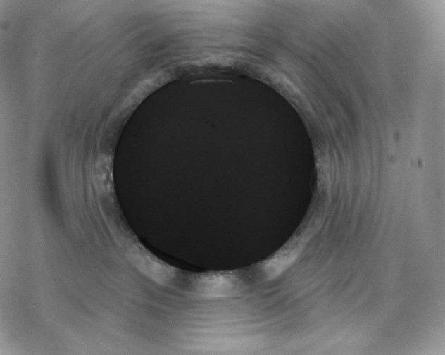 X0000078270237200611251401