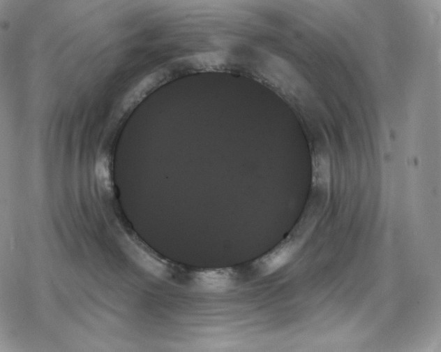 X0000078270238200611251401