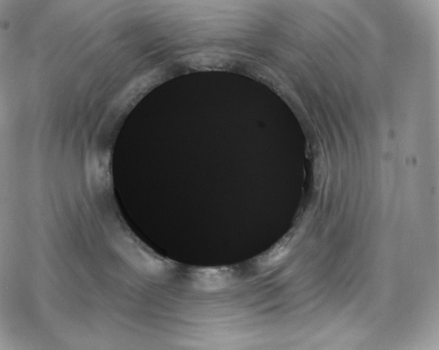 X0000078270239200611251401