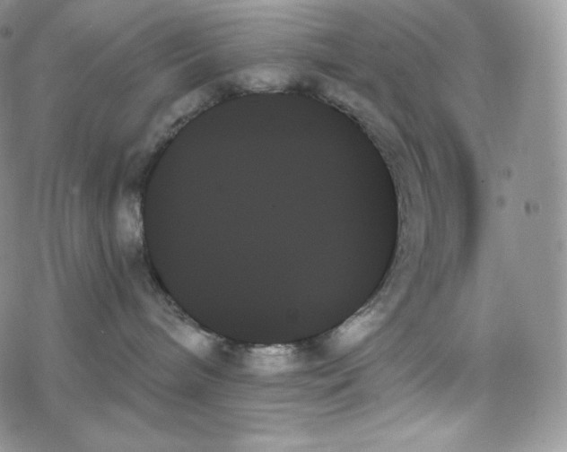 X0000078270240200611251401