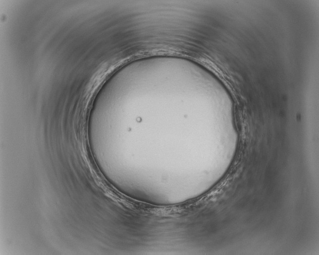 X0000078270241200611251400