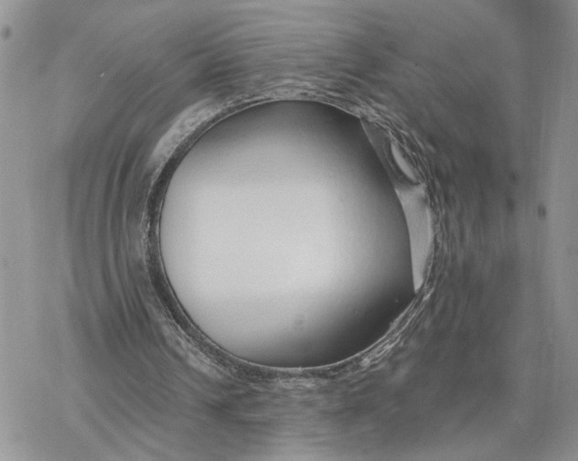 X0000078270242200611251400