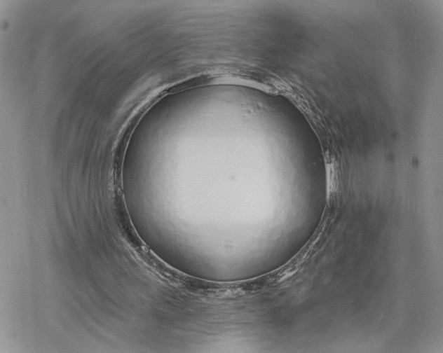 X0000078270243200611251400