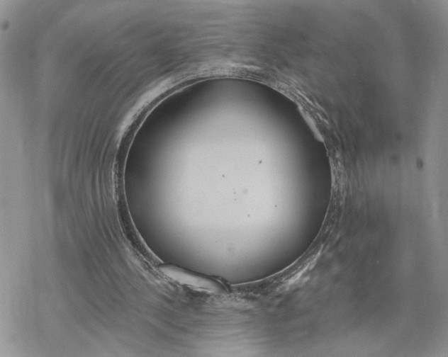 X0000078270244200611251400