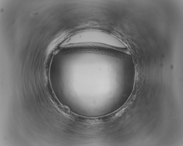 X0000078270245200611251400