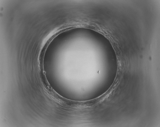 X0000078270246200611251400