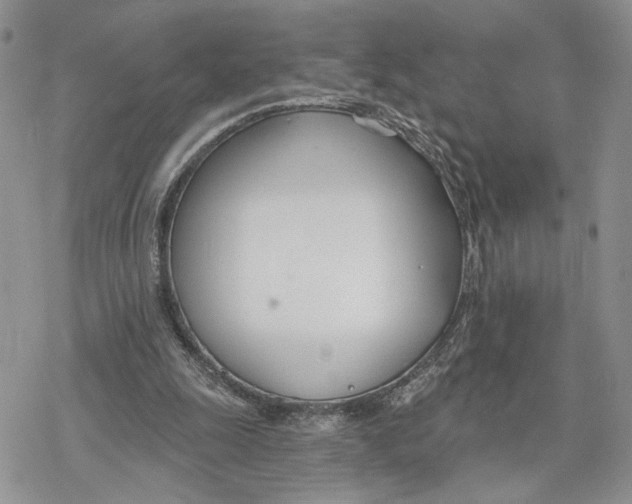 X0000078270247200611251400