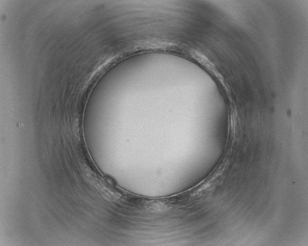 X0000078270249200611251400