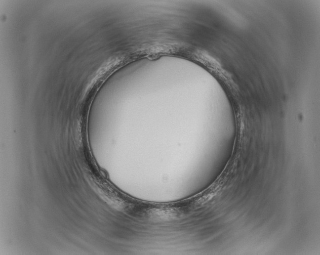 X0000078270250200611251400