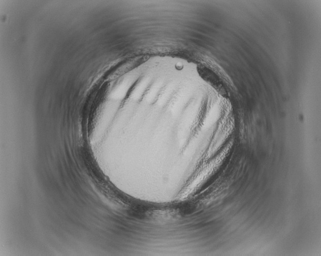 X0000078270251200611251400