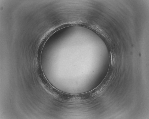 X0000078270252200611251400