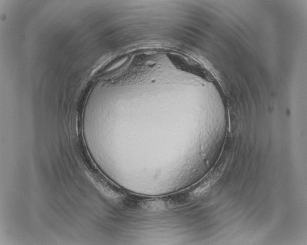 X0000078270253200611251400