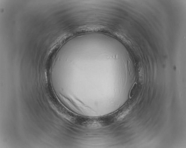 X0000078270254200611251400