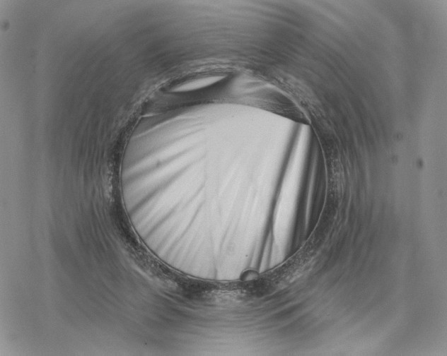 X0000078270255200611251400