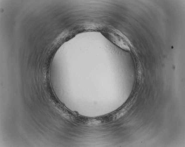 X0000078270257200611251400