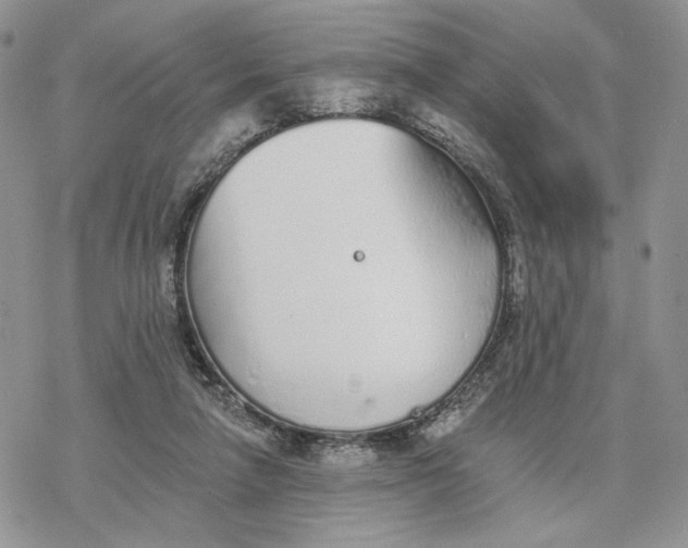 X0000078270258200611251400