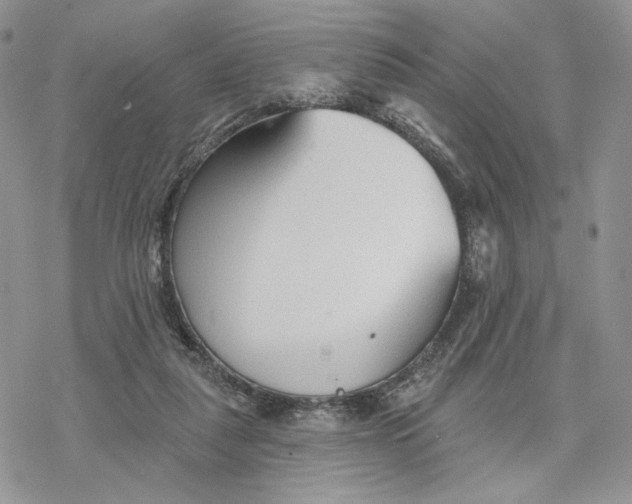 X0000078270259200611251400