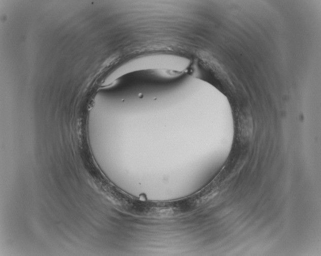 X0000078270260200611251400