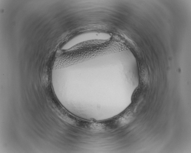 X0000078270261200611251400