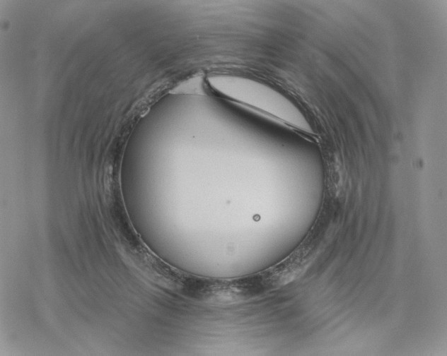 X0000078270263200611251400