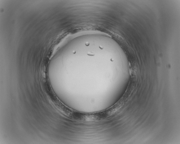 X0000078270264200611251400