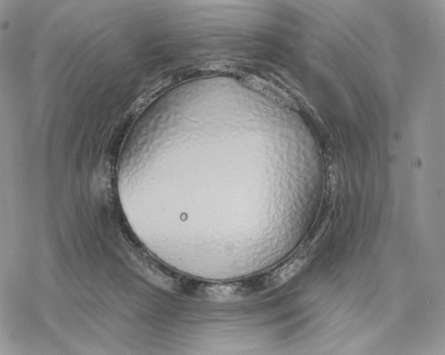 X0000078270265200611251400