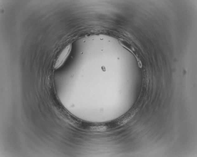 X0000078270266200611251401