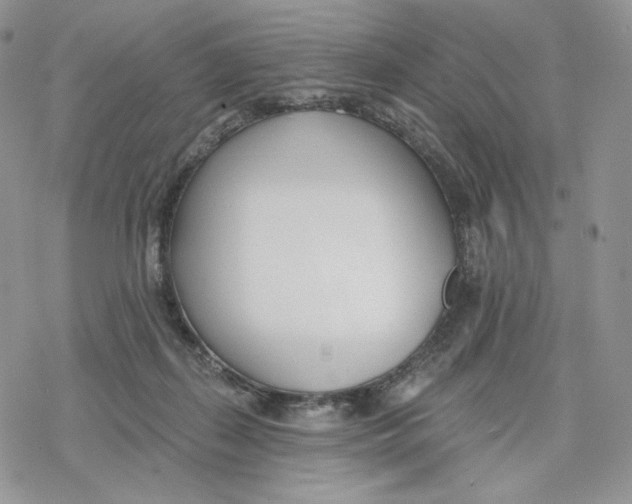 X0000078270267200611251401