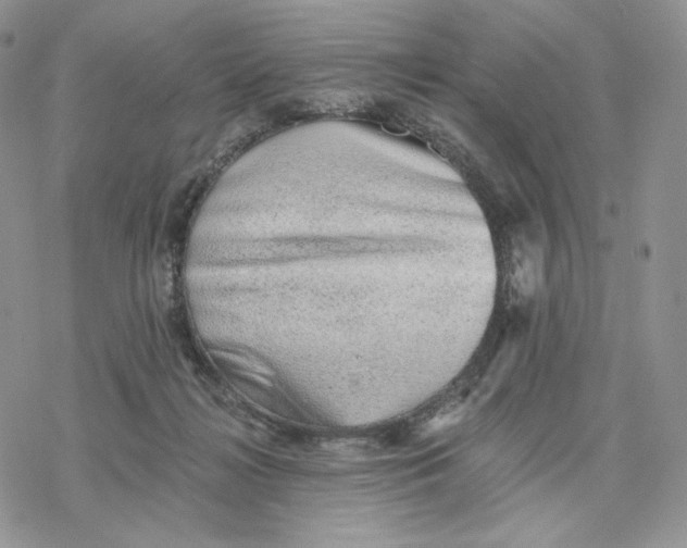 X0000078270268200611251401