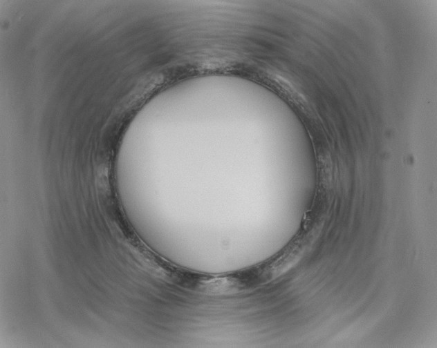 X0000078270269200611251401