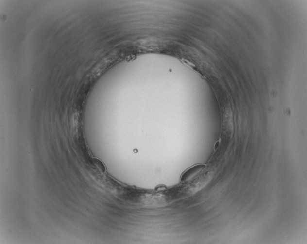 X0000078270271200611251401