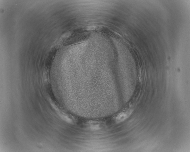 X0000078270272200611251401