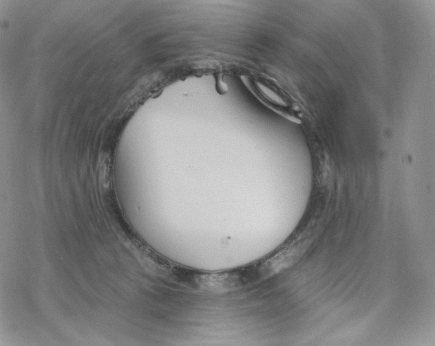 X0000078270273200611251401