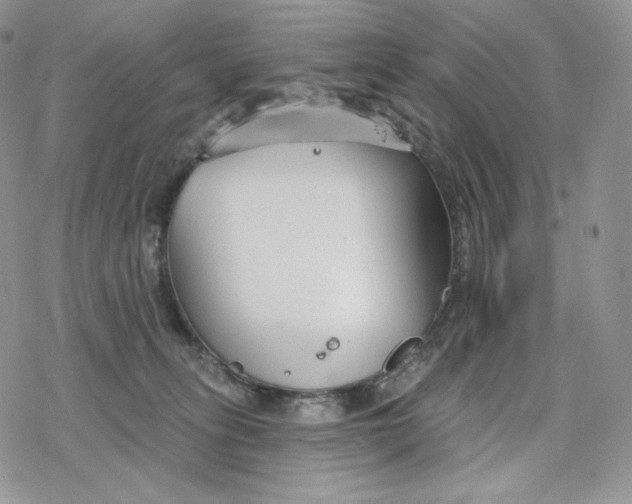 X0000078270275200611251401