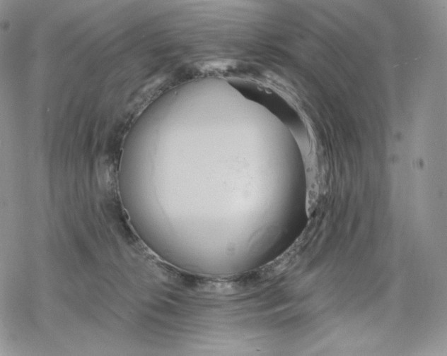 X0000078270276200611251401