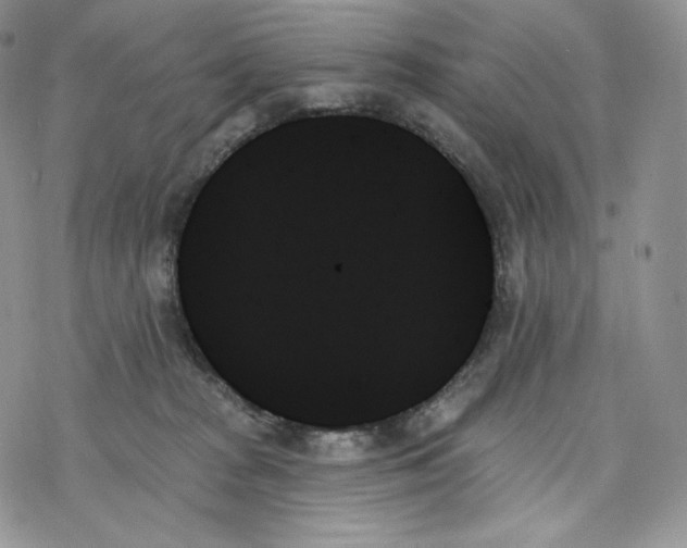 X0000078270277200611251401