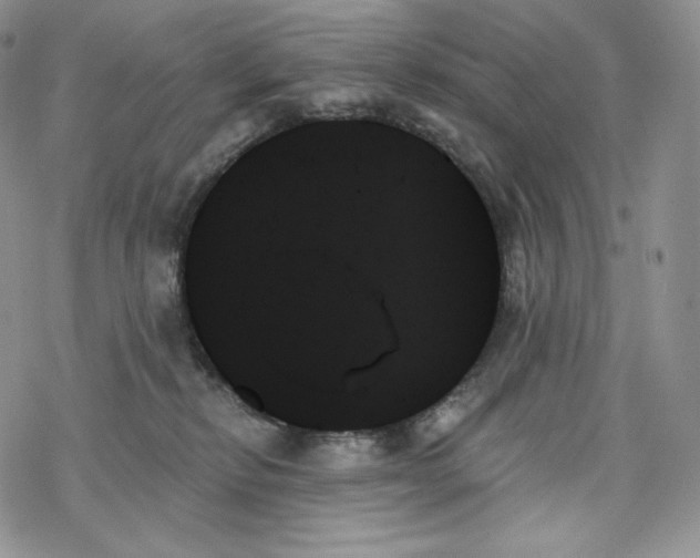 X0000078270278200611251401