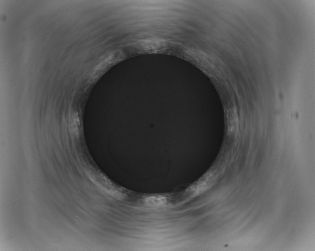 X0000078270279200611251401