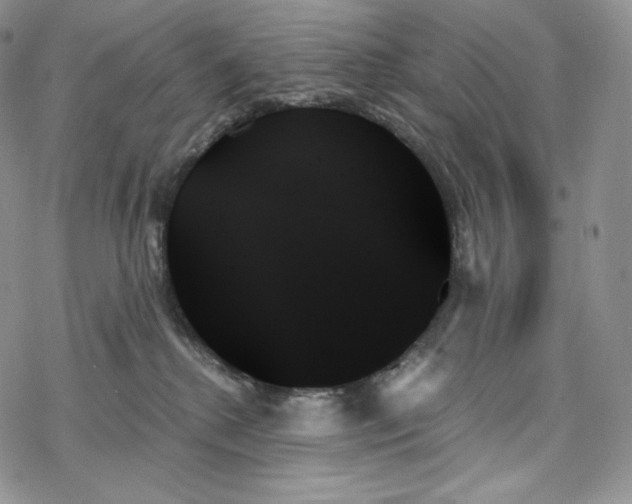 X0000078270280200611251401