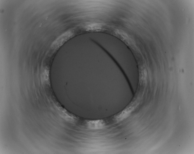 X0000078270281200611251401