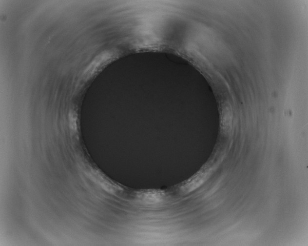 X0000078270282200611251401