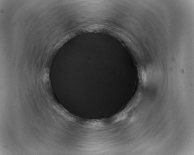 X0000078270284200611251401